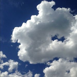 Meet your Posher, Stevie